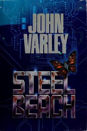 Steel Beach