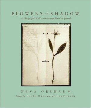 Flowers in Shadow - A Photographer Rediscovers a Victorian Botanical Journal
