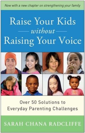 Raise Your Kids without Raising Your Voice - Over 50 Solutions to Everyday Parenting Challenges