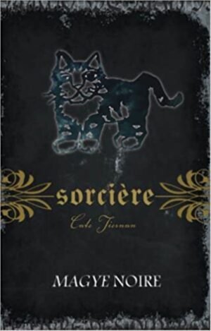 Sorcière Tome 4. Magye noire