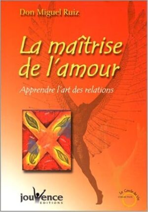 La maîtrise de l'amour - Apprendre l'art des relations