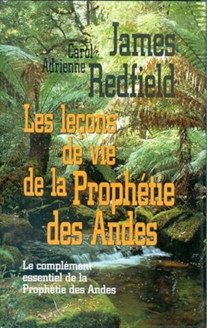 Les leçons de la Prophétie des Andes - Le complément essentiel de la Prophétie des Andes