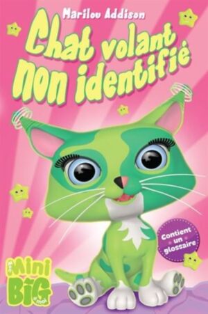 Chat volant non identifié