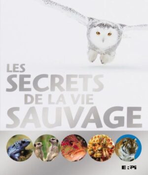 Les secrets de la vie sauvage